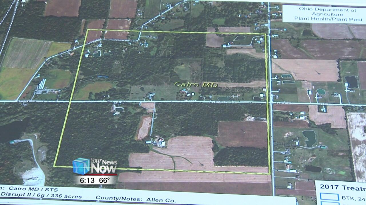 Spraying for Gypsy Moths to begin this week2.jpg